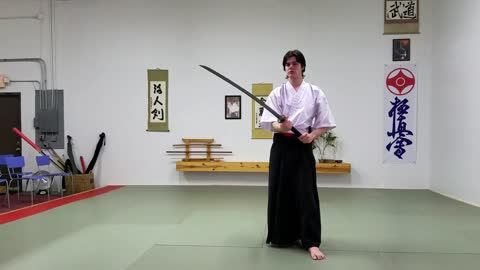 Sword review: Shinwa Odachi