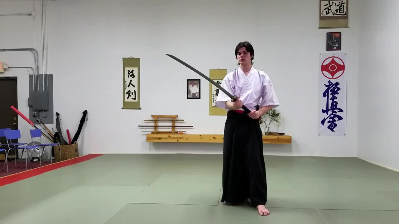 Sword review: Shinwa Odachi