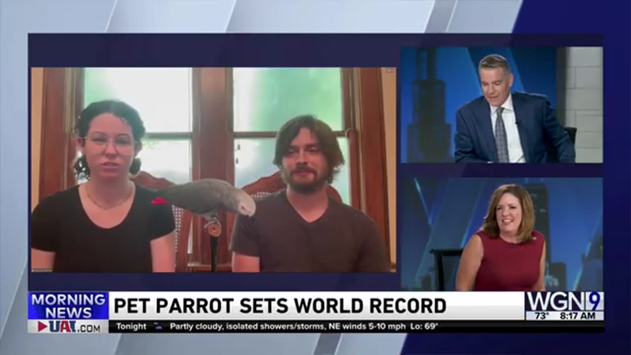 Pet Parrot Sets World Record