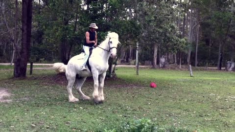 Bucked Off - Man thrown from saddle