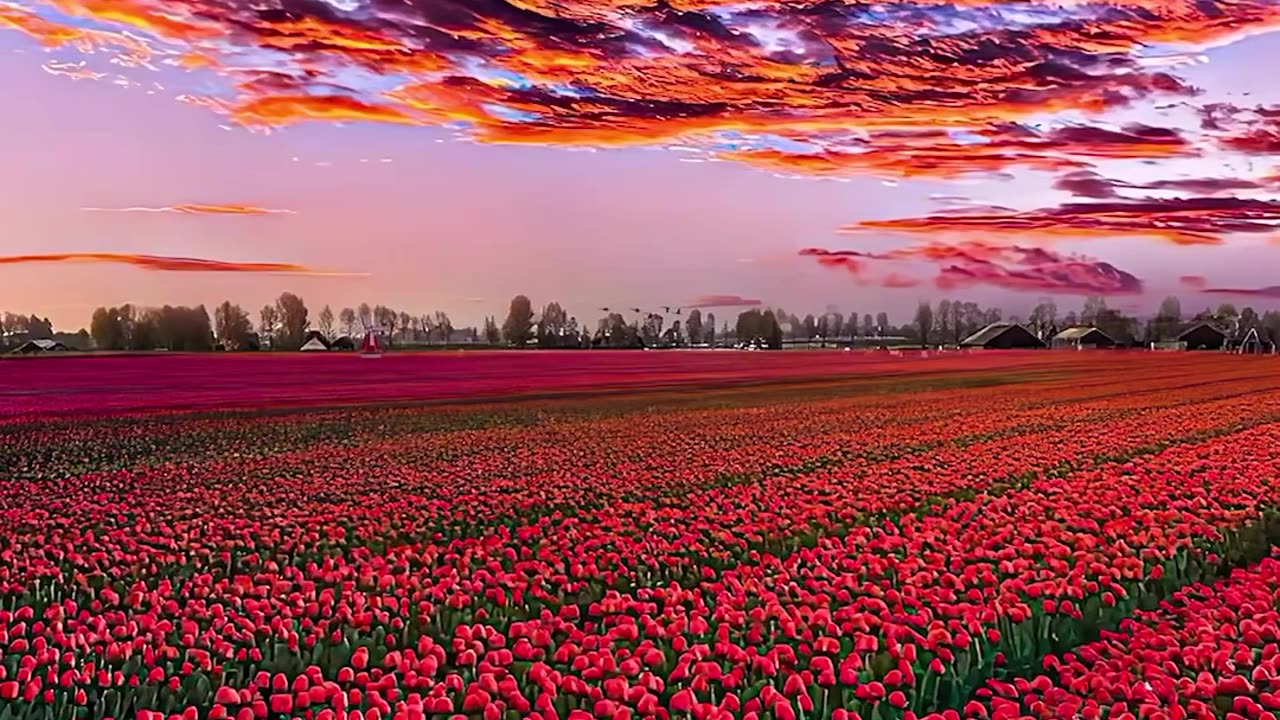 Beautiful nature