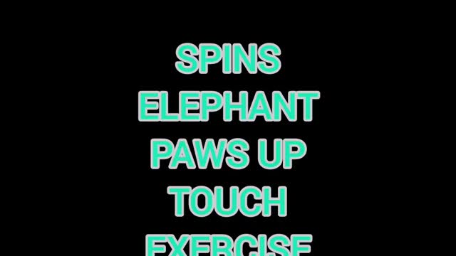 Aurora Spell-it with thricks "SEPTEMBER"