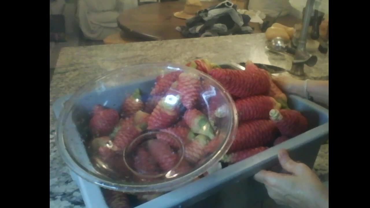 Mirror|Johnette Napolitano|Squeezing the juice out for Shampoo