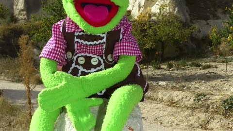 Kermit - Der gute Grüne!