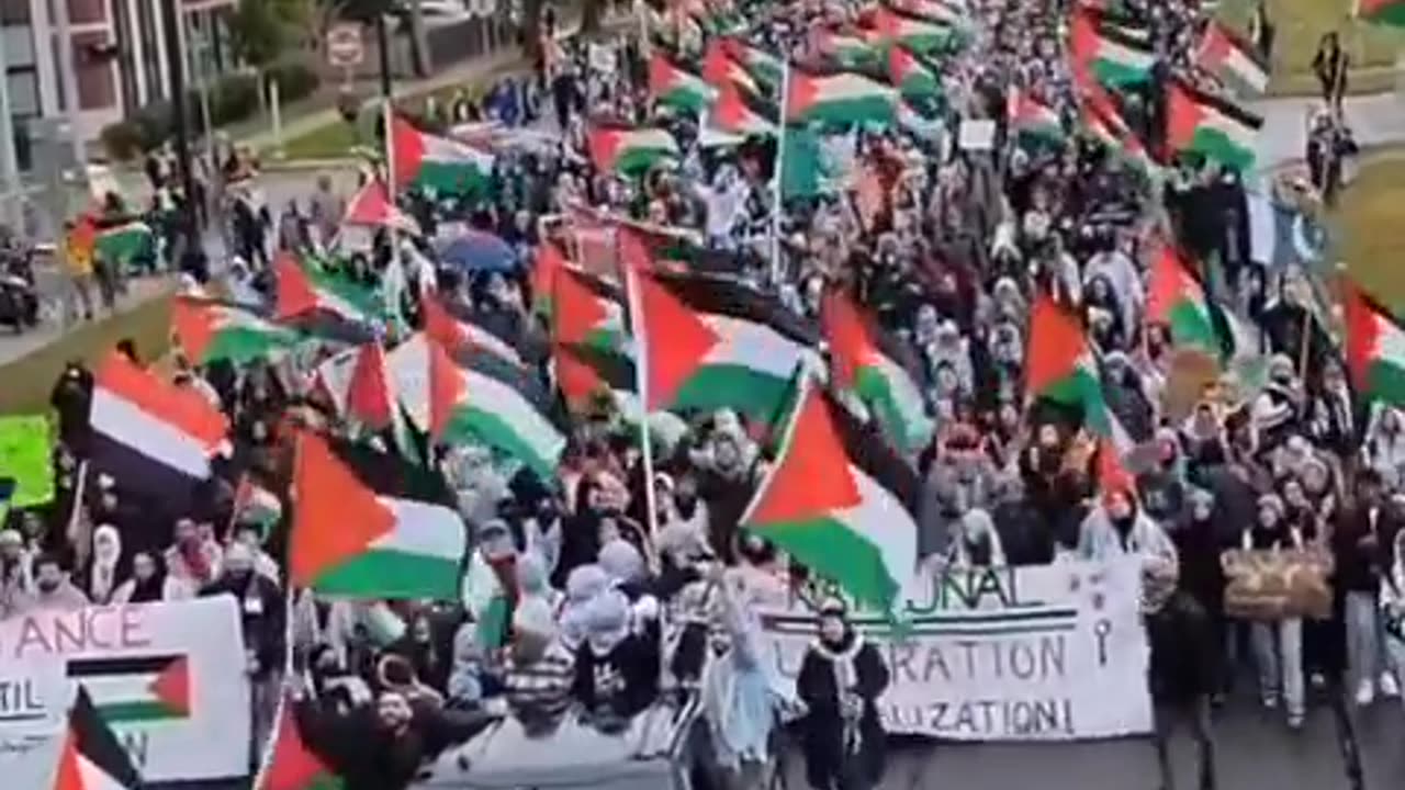 Illegals Protesting Israel