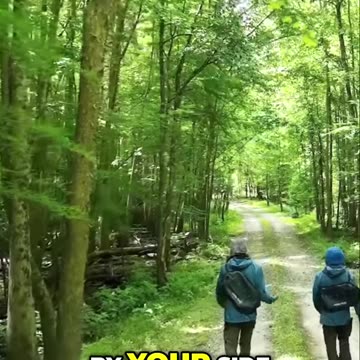 #2 The Battle of Rations vs. Companionship in the Wild