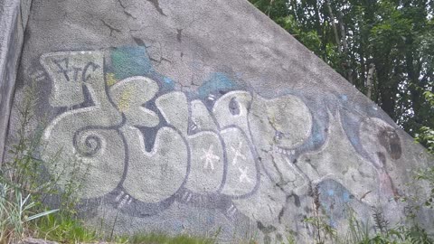 VihtiGraffiti VG51