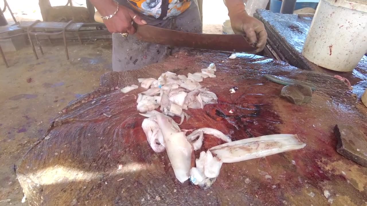 Cuttlefish Cutting And Cleaning _ Fish Cutting Skills