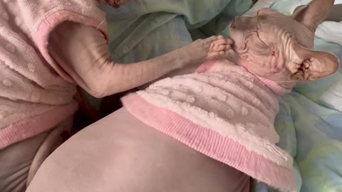 Not Touching You!