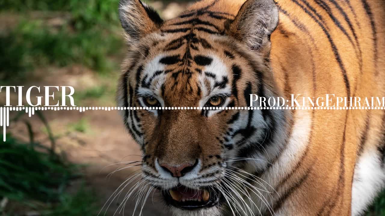 Tiger (Hard Type HipHop Beat) HipHop beat instrumental Prod.KingEphraim