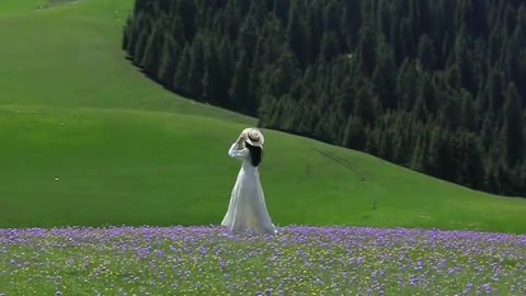 Take you to see the most beautiful Aktas grassland in Yili!