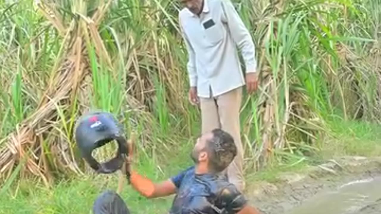 Funny videos