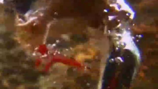 A kingfisher shot into the water like an arrow
