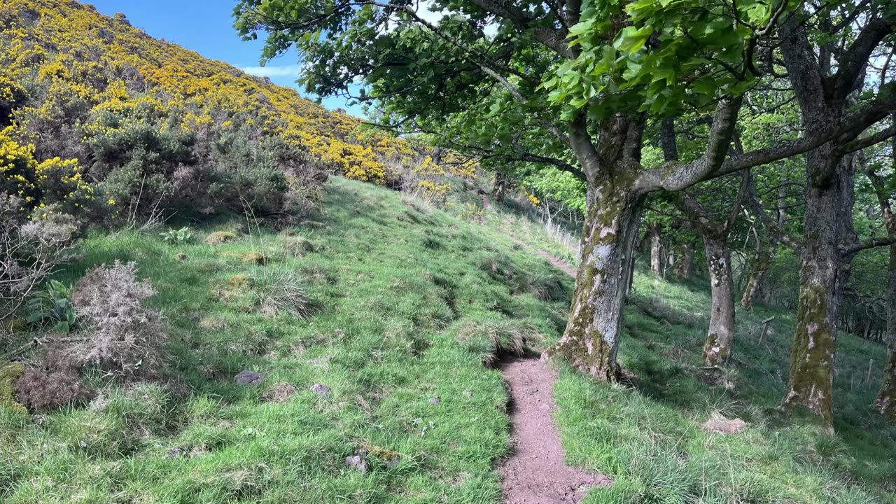 Byreside Hill - Boghall Burn - Hillend Hill loop