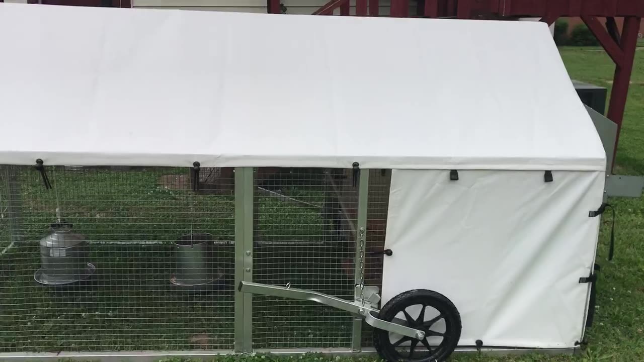 Chicken Tractor and New Chickens