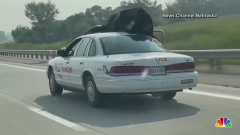 Car with giant bull as passenger pulled over by Nebraska police