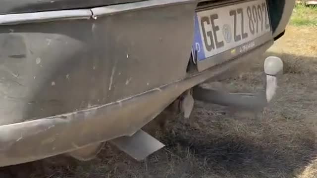 State detection of automobile exhaust pipe