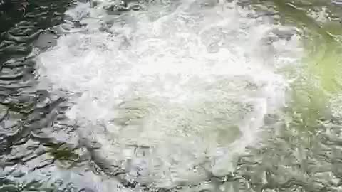 Slow mo jump in water