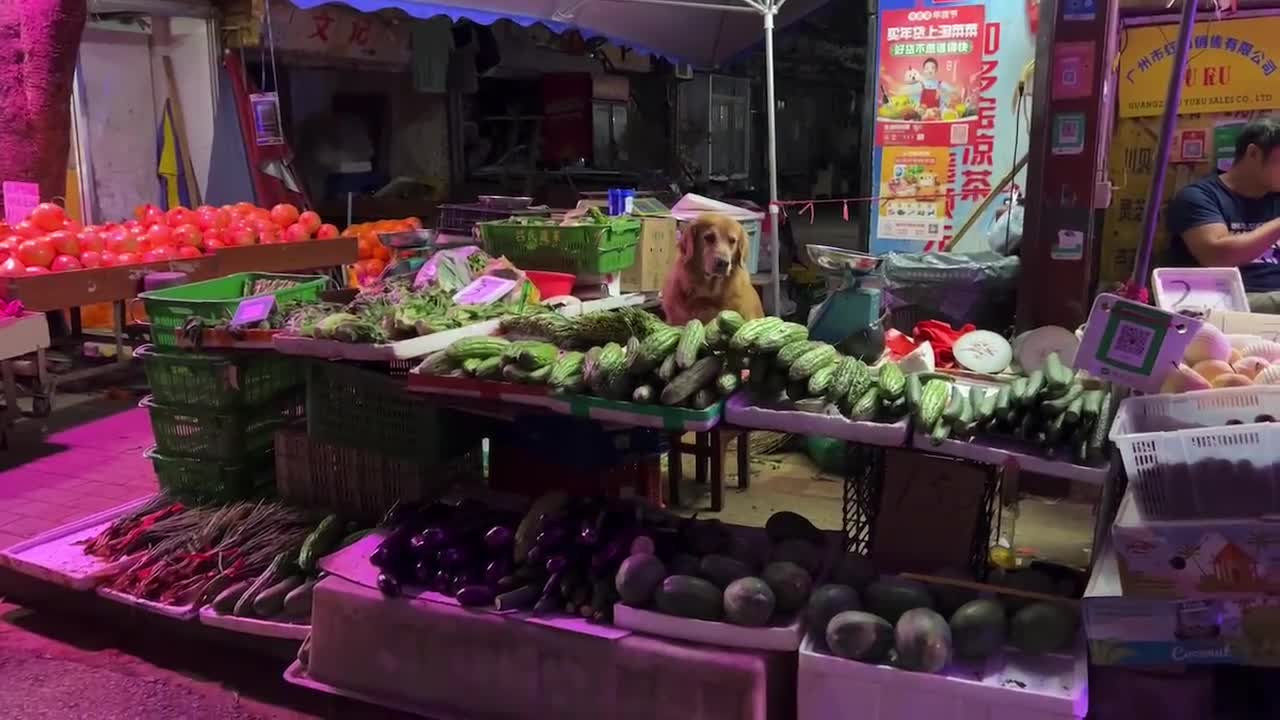 Help the owner watch the dog in the vegetable stall