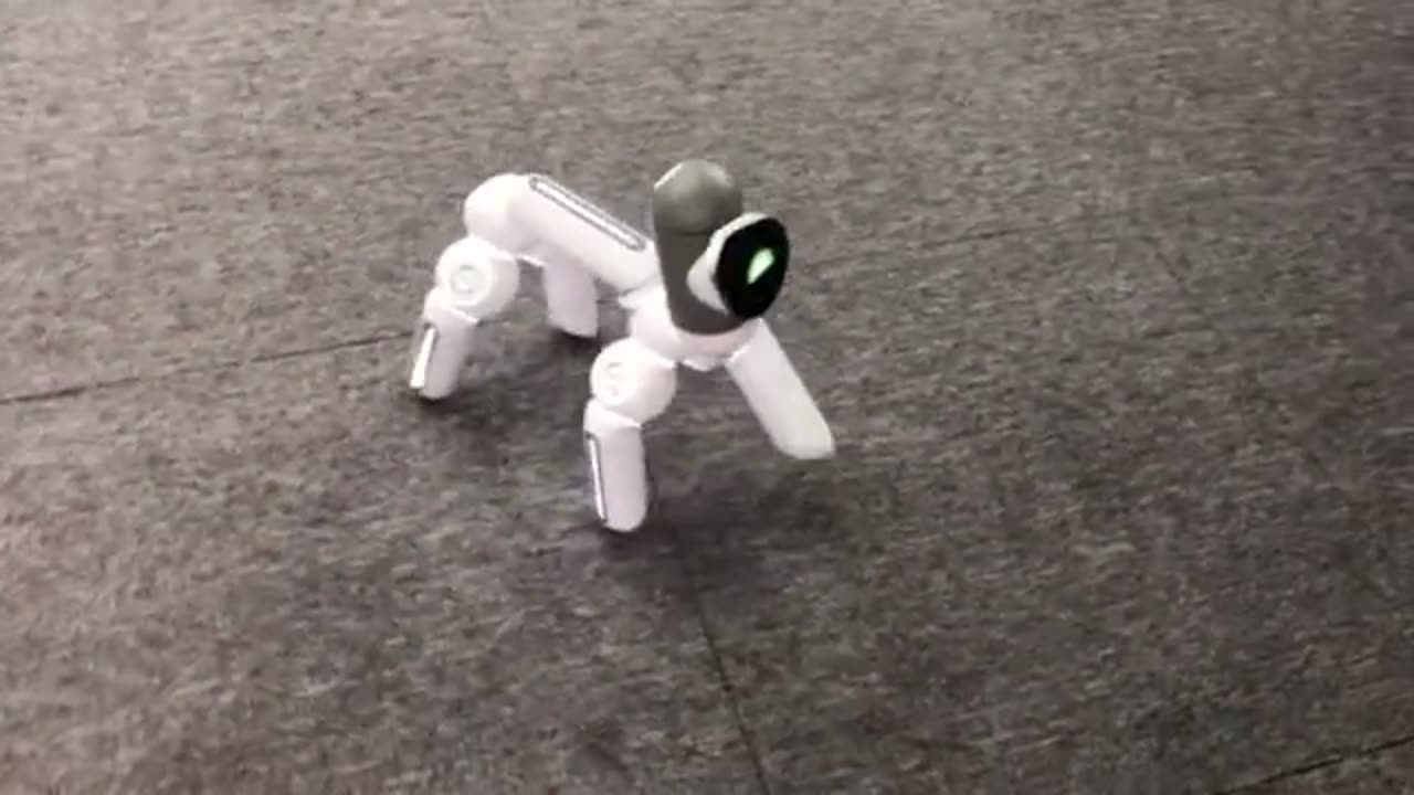 Rebots dog latest Technology