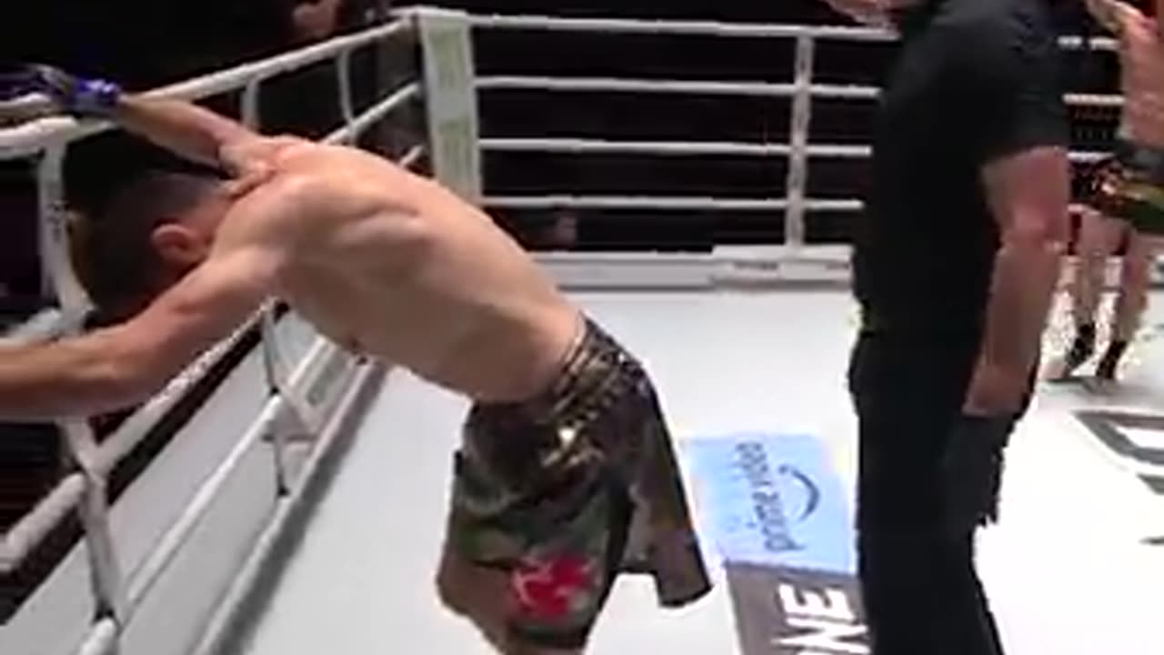 Devastating Leg Kicks