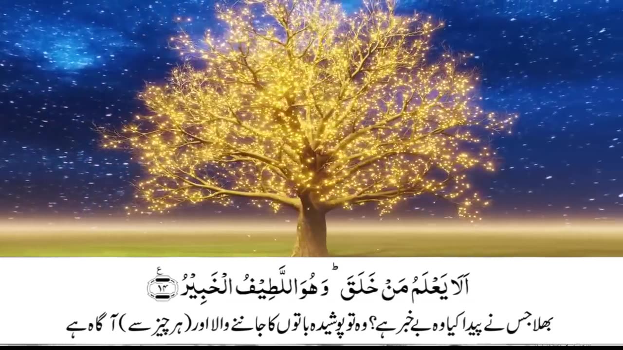 Surah Mulk with Urdu translation | Beautiful Quran Recitation | Quran with Urdu-Hindi Translation