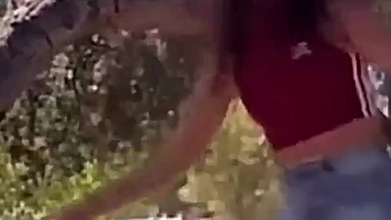 The end 😂😂😂 #funny #fails #viral #shorts #justlaughfolder