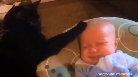 Cute Cats Babysitting Compilation