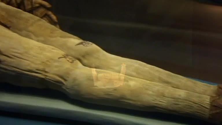 Ancient mummies digitally unwrapped to reveal new secrets