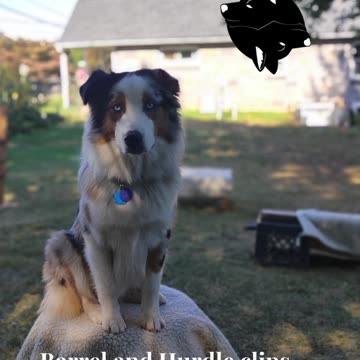 Circuit Training and Practice morning short 1