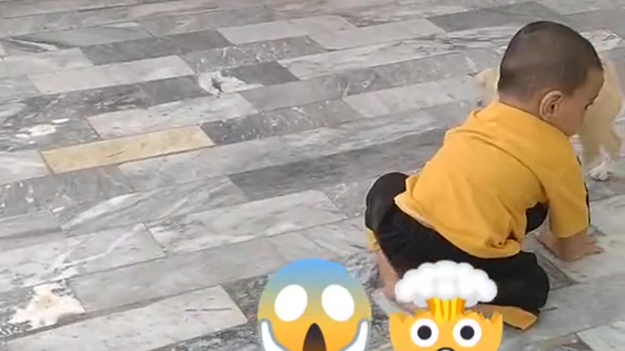Entertainment video
