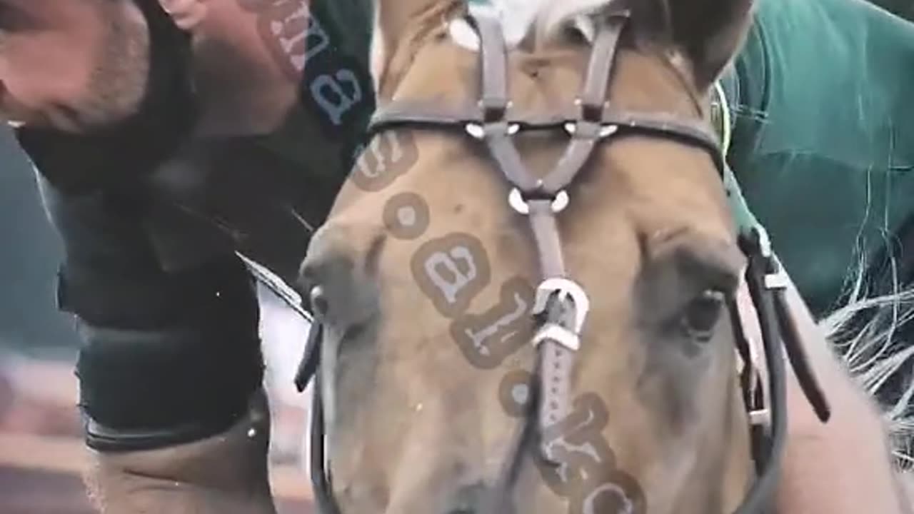 Horse riding 🐎 🐴 🎠