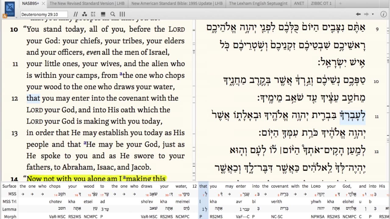 Rooted In Torah S01E21 (Nitzavim)