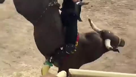 Can You Handle the Bull? Watch This Rider’s Unbelievable Courage!