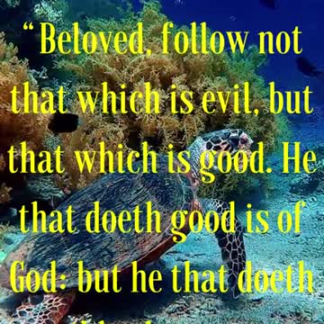 Beloved, follow not that which is evil, but that which is good.