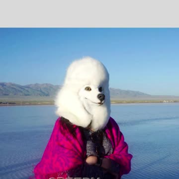 Realistic Dog Head Mask #shorts #party #mask