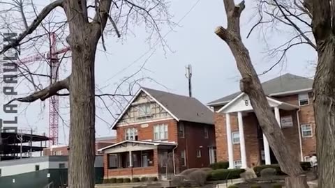 Epic Tree Scenes