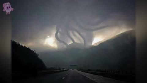 8 Mythological Creatures Caught on Camera