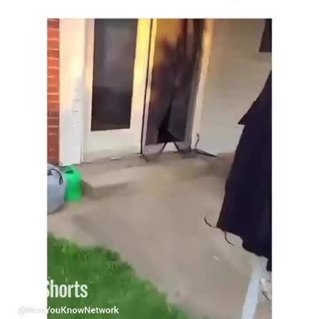 Greatest Video Ever!!!