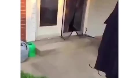 Greatest Video Ever!!!