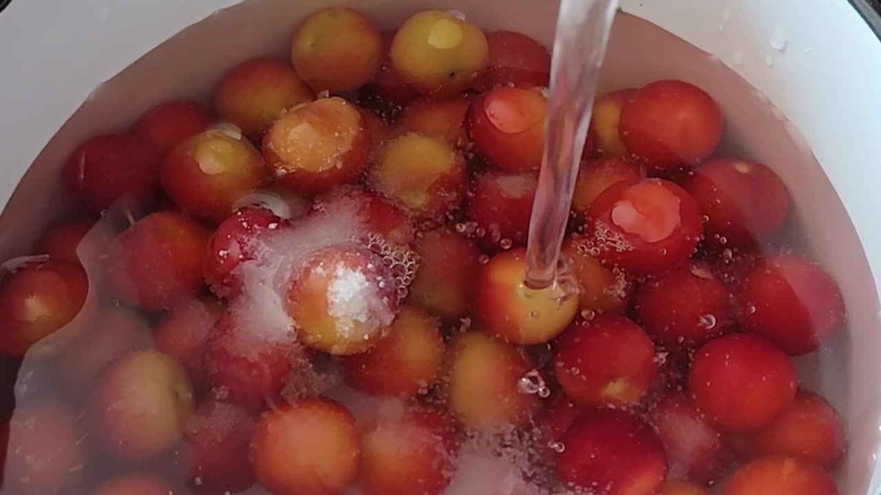 Plums, water, sugar, boiled and compote ready