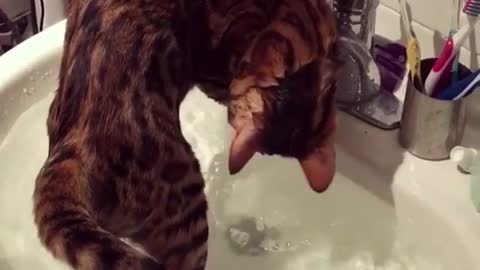 He wants to turn off the tap