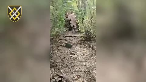 Ukrainian Sappers on the Front Lines of Kharkiv