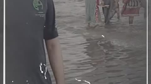 My videos