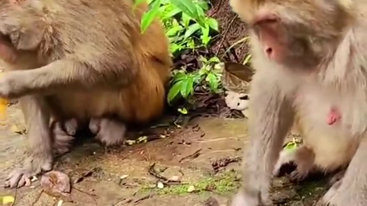 Don't play with me