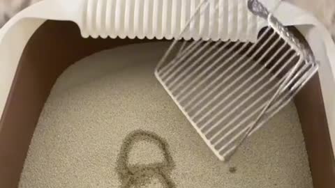 Funniest Cats 😹 - Don't try to hold back Laughter 😂 - Funny Cats Life