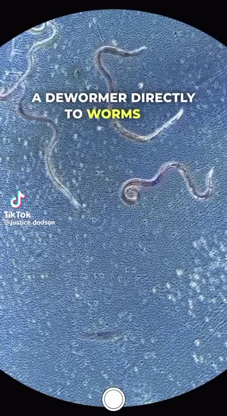 Ivermectin kills parasites that cause cancer