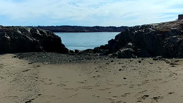 Deer island