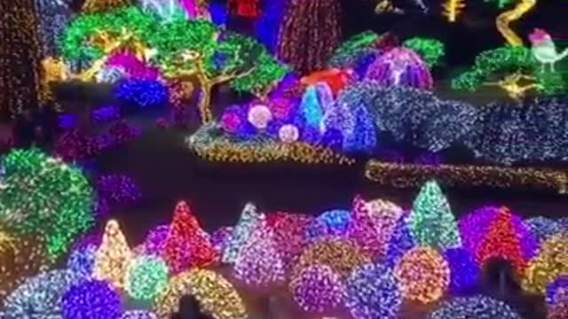 fairy forest
