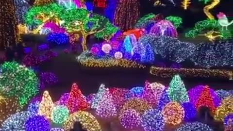 fairy forest